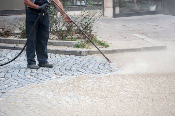Best Sidewalk and Walkway Cleaning  in Leavittsburg, OH